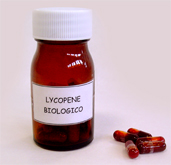 Italian Biological (Not chemicals used in any process) red tomatoes used for the Lycopene manufacturing suppliers... Italian biological and organic Lycopene designed and made in Italy with the most powerful red tomatoes... Biological lycopene may prevent prostate cancer, heart disease and other forms of cancer... Biological Lycopene manufacturing solutions to the worldwide health care distribution market..