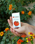 Lycopene manufacturing suppliers... Italian biological and organic Lycopene designed and made in Italy with the most powerful red tomatoes... Biological lycopene may prevent prostate cancer, heart disease and other forms of cancer... Biological Lycopene manufacturing solutions to the worldwide health care distribution market..