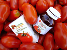 Italian Biological (Not chemicals used in any process) red tomatoes used for the Lycopene manufacturing suppliers... Italian biological and organic Lycopene designed and made in Italy with the most powerful red tomatoes... Biological lycopene may prevent prostate cancer, heart disease and other forms of cancer... Biological Lycopene manufacturing solutions to the worldwide health care distribution market..