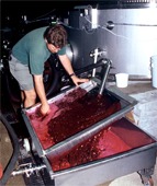 Wine production process, italian, france, australia, california, chile wineries... grapes Harvesting, Crushing, grape's Juice separation, Pressing, Fermentation, Must treatment, wine Clarification, wine filtration, centrifugation and final refrigeration... Send and share your wine and wineries capabilities with the global wine industry...